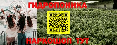 круглые Бийск