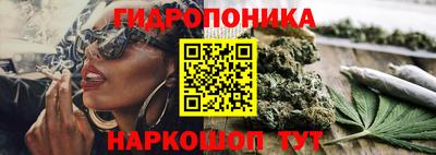круглые Бийск