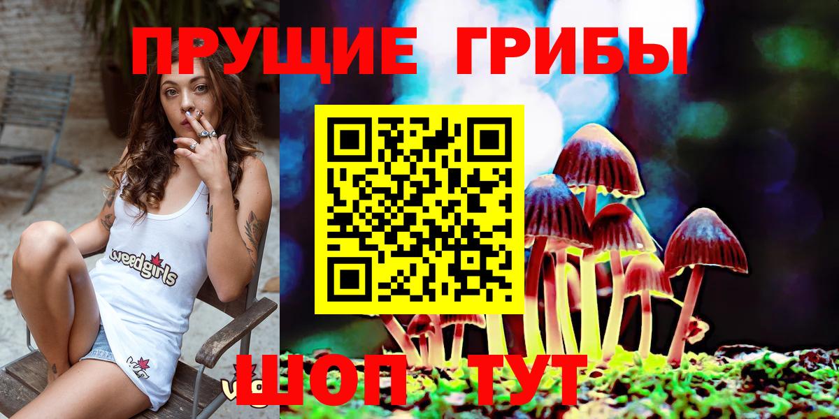 Псилоцибиновые грибы мухоморы  Вход с VPN  Салехард  Псилоцибиновые грибы Cubensis 